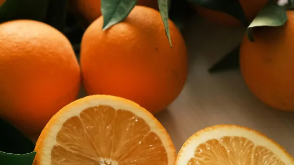 Manjše pomaranče imajo manj olupka ter večji delež soka in mesa.