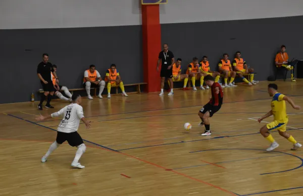 Edina točka je ajdovska