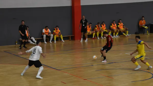 Edina točka je ajdovska