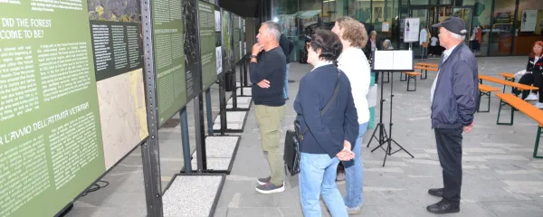 Sredi gozdov so nekoč sto let žarele gozdne steklarne - glažute