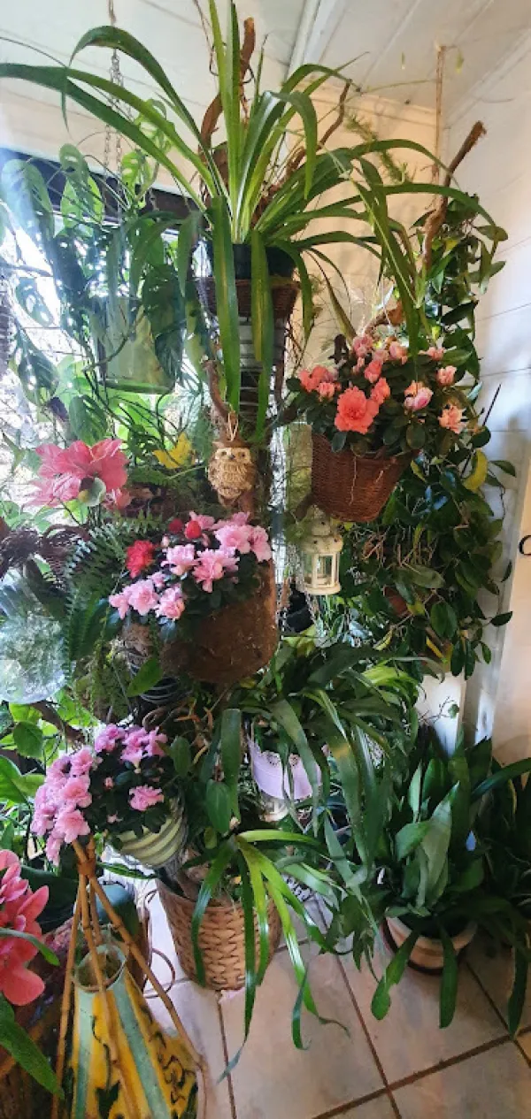 Skodelica čaja v zimskem vrtu