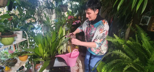 Skodelica čaja v zimskem vrtu