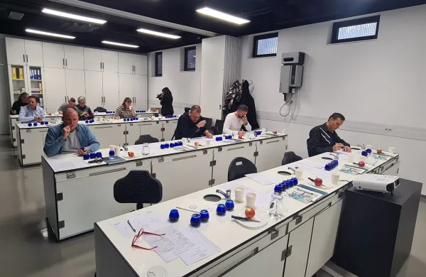 Na tekmovanju Mlado oljčno olje 121 vzorcev oljčnega olja, novinarji in gostinci izbirali svojega &scaron;ampiona