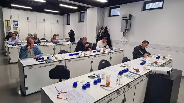 Na tekmovanju Mlado oljčno olje 121 vzorcev oljčnega olja, novinarji in gostinci izbirali svojega &scaron;ampiona