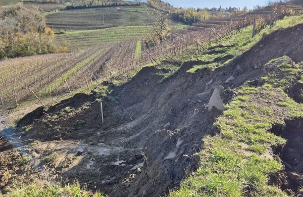 Ple&scaron;ivo v Gori&scaron;kih Brdih danes