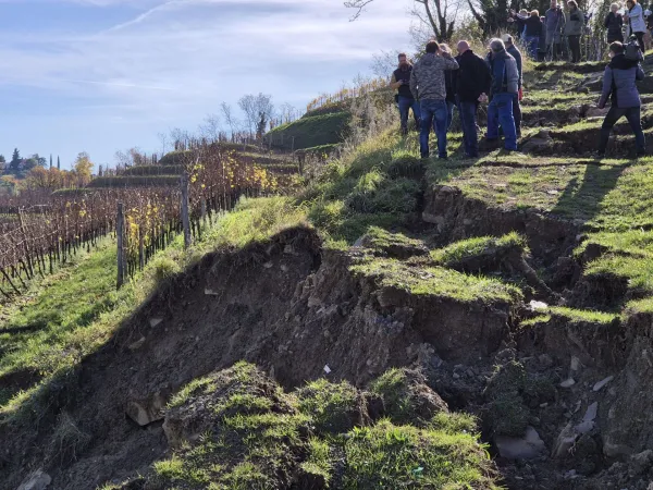 Ple&scaron;ivo v Gori&scaron;kih Brdih danes