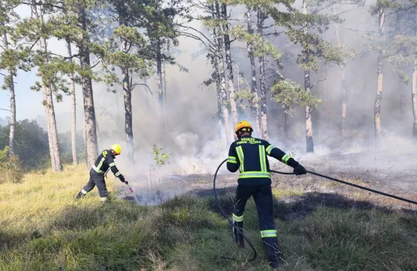 Zdaj bi velike požare v naravi gasili drugače