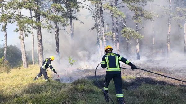 Zdaj bi velike požare v naravi gasili drugače