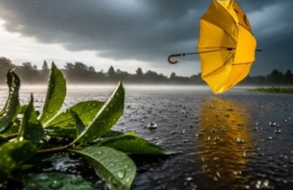 Poletna nevihtaMokra tla, kaplje na listih, dežnik v vetru
