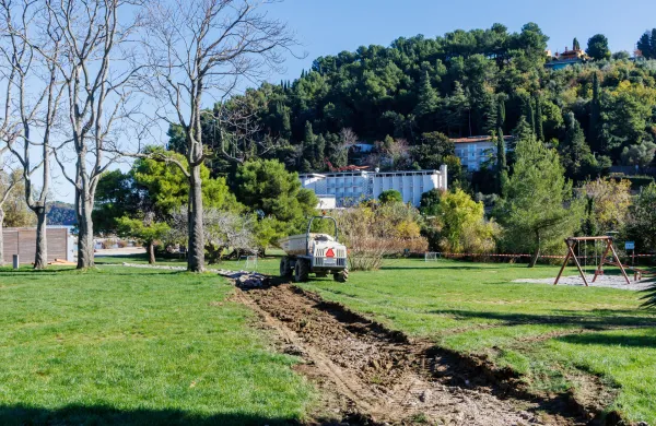 Fiesa: Drevesa so posekali po navodilu Občine Piran