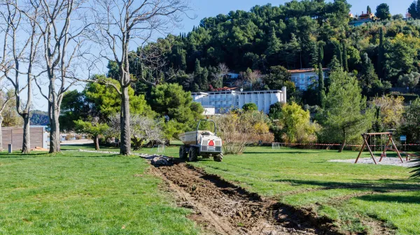 Fiesa: Drevesa so posekali po navodilu Občine Piran