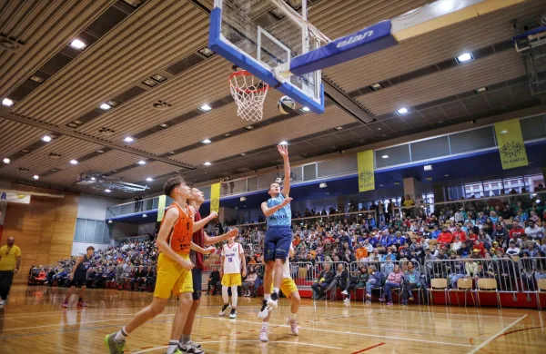 Sončkov dan Sonček ko&scaron;arka festival 