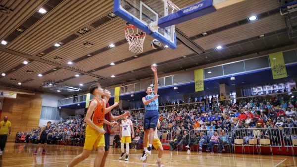 Sončkov dan Sonček ko&scaron;arka festival 