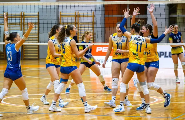 Piran(j)e le niso grizle