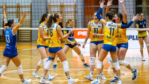 Piran(j)e le niso grizle