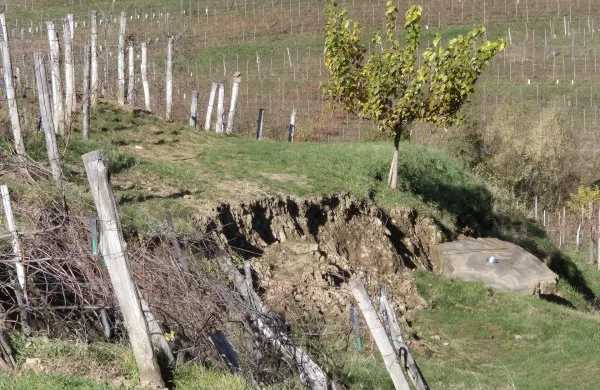 Namakanje najbolj&scaron;ih vinogradni&scaron;kih leg je nuja