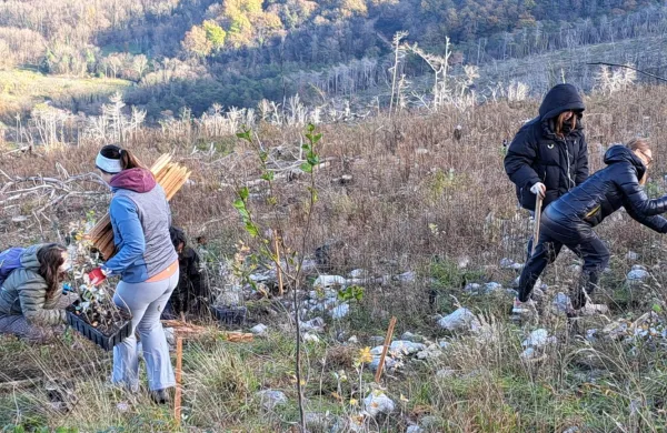 Zaključili sajenje dreves, zdaj je na vrsti nega gozdov