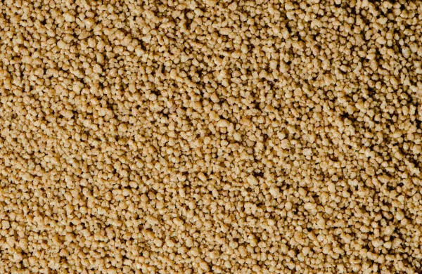 Proso je nastarej&scaron;e žito, ki je v Evropo pri&scaron;lo iz KItajske.