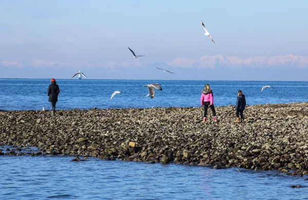 Izola, 13.01.2021Plaža pri svetilniku, lep sončen dan, sprehajalci, Svetilnik, vreme, zima, gibanje, otroci, igra, narava, morje, galebi