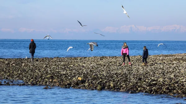 Izola, 13.01.2021Plaža pri svetilniku, lep sončen dan, sprehajalci, Svetilnik, vreme, zima, gibanje, otroci, igra, narava, morje, galebi