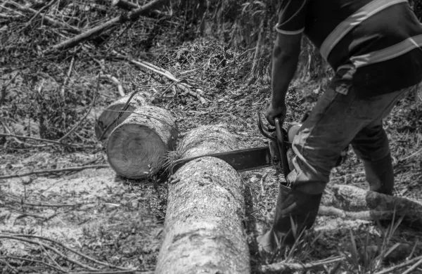 Fotografija je simbolična.