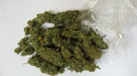 100 gramov marihuane, zaseg, koprski policistimarihuana trava konoplja droga