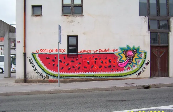 v Postojni prijeli mladeniča, ki naj bi poleti narisal grafite na osmih fasadah