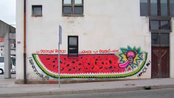 v Postojni prijeli mladeniča, ki naj bi poleti narisal grafite na osmih fasadah