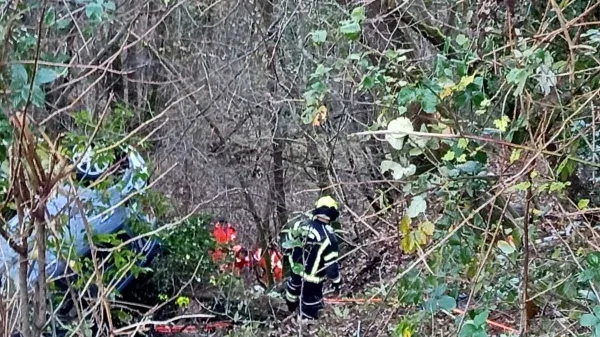 Mladi voznik zapeljal s ceste in umrl