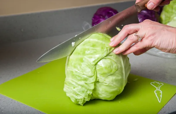 Chopping a head of cabbage (Brassica oleracea),Image: 955081038, License: Rights-managed, Restrictions: UAF- Palmer, Model Release: no, Credit line: Edwin Remsberg/VWPics/Profimedia