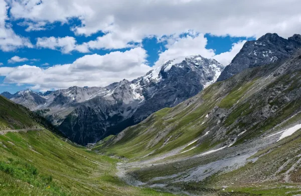 Odtise stopal, stare več kot 200 milijonov let, so odkrili v narodnem parku Stelvio, na območju med krajema Bormio in Livigno.