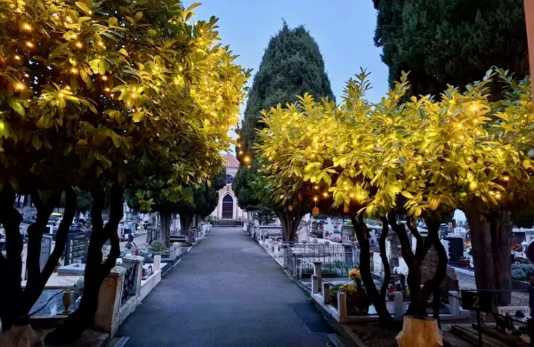 Na piranskem pokopali&scaron;ču bo do 15. januarja prihodnje leto svetilo prav posebno drevo.