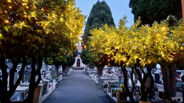 Na piranskem pokopali&scaron;ču bo do 15. januarja prihodnje leto svetilo prav posebno drevo.