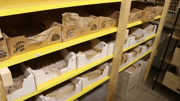 bonboni čokolade thc