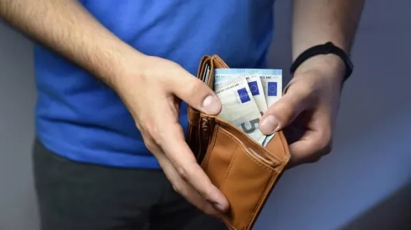 minimalna plača, denar, denarnica