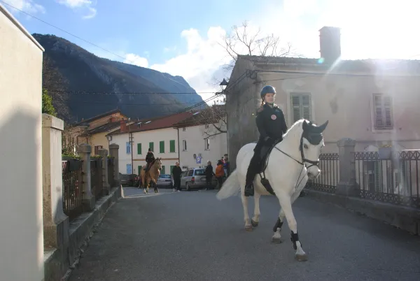 Blagoslov konjev v Vipavi