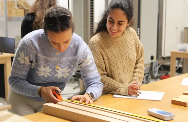 Nov dodiplomski &scaron;tudijski program na UP: Inovacije v lesarstvu za trajnostni razvoj