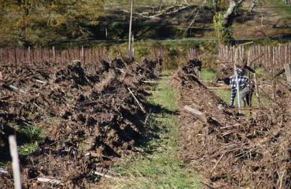 Leto 2025 nadpovprečno toplo, jesen zaznamovalo uničujoče neurje v Gori&scaron;kih brdih