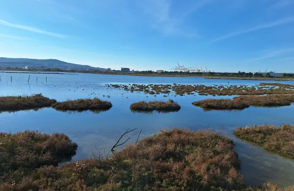 &Scaron;kocjanski zatok