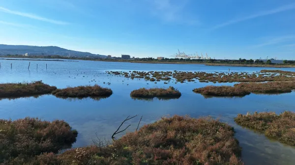 &Scaron;kocjanski zatok