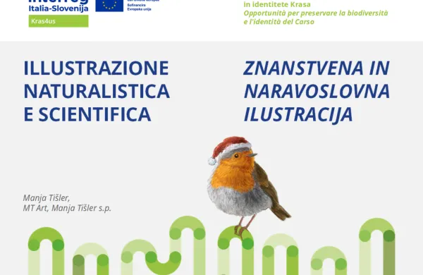 Pomen znanstvene in naravoslovne ilustracije