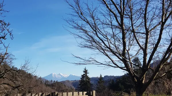 &Scaron;ele brez odeje iz listja in drugega zelenja vidimo osnovni skelet vrta.
