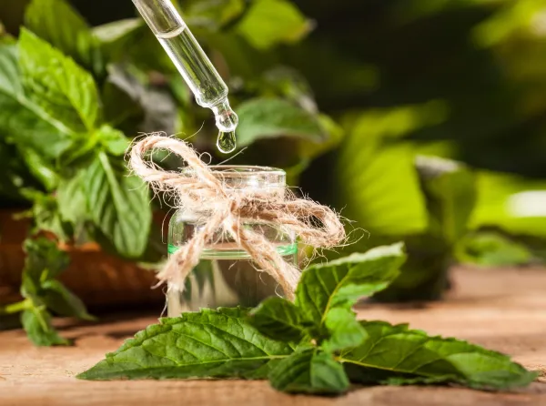 Image: 291486284, License: Royalty-free, Restrictions:, Model Release: no, Credit line: Nikolay Litov/Alamy/Profimedia