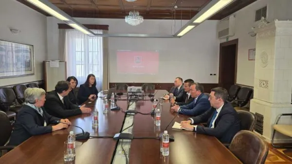 Kje so Kazahstanci &ldquo;na&scaron;li&rdquo; Picigo, SDS-ovega &scaron;efa slabe banke?