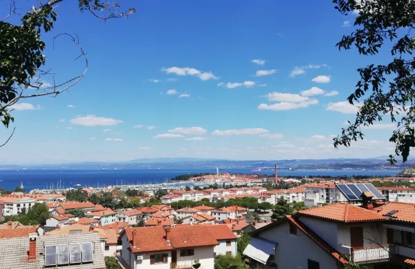 Istra, Izola, Jagodje, Izola - panorama, panorama, morje