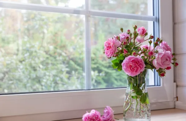 Cozy floral decor with bouquet of pink garden roses in clear glass vase on a windowsill. Soft daylight, romantic mood and rustic details make it perfect for wedding, Mother's Day or spring content,Image: 983998183, License: Royalty-free, Restrictions:, Model Release: no, Credit line: Olga Ionina/Alamy/Profimedia