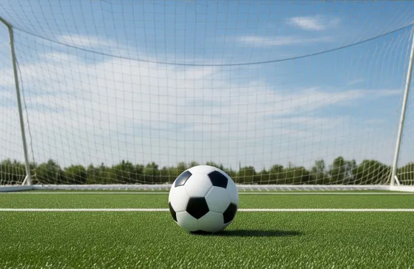 nogomet, žoga na igri&scaron;ču, mreža gola