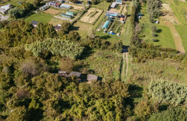 V Olmu bo zraslo 49 urbanih vrtov.