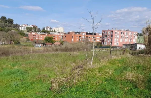 Predvidoma marca bodo objavili razpis za najem vrtičkov v Olmu