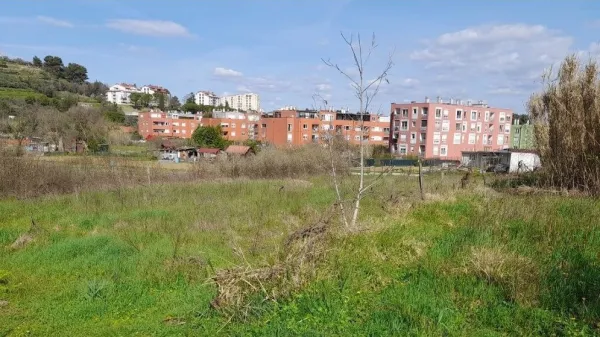 Predvidoma marca bodo objavili razpis za najem vrtičkov v Olmu